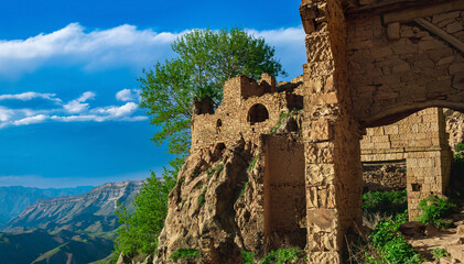 Wall Mural - ruins of an old stone house under a tree in the historical abandoned village of Gamsutl in Dagestan
