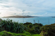 ニュージーランド　ノースランド地方のオマペレの保護公園から見えるホキアンガ港