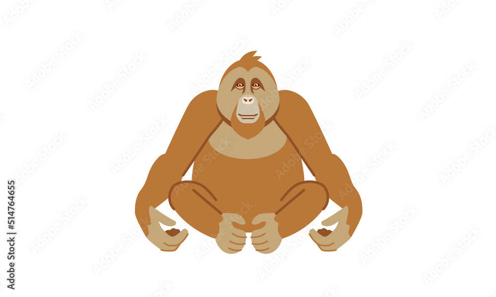 Pongo Vector Orangutan (Pongo pygmeaus), asian native wild animal, flat style vector ...