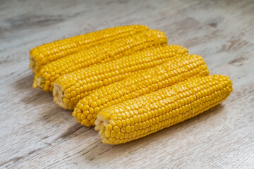 Wall Mural - five yellow ears of corn lie on a light gray background