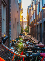 Wall Mural - Amsterdam alleys and bicycles in the city