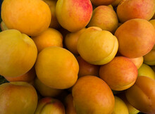 Lots Of Ripe Colorful Apricot Fruits. Close-up Of Fruits. Organic Fruits.