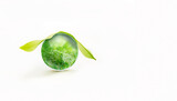 Fototapeta  - Green earth with green leaf over the earth on white background, Protect our global searth with green environmental solution concept