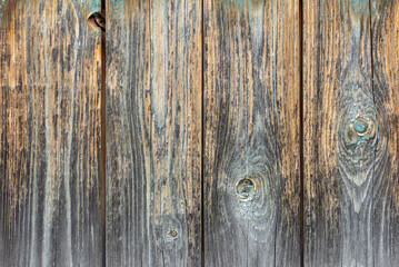 Wall Mural - The texture of an old weathered wooden wall with remnants of blue paint. Wooden background with a space to copy.