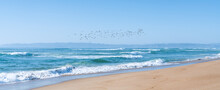 Turquoise Colored Sea, Sandy Beach, And  Flock Of Flying Birds, Mountains And Blue Sky On Background, Panoramic View, California Central Coast