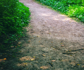 forest path soil among grass close up toned design