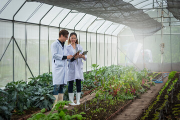 Portrait of Man and Woman agricultural researcher holding tablet while working on research at plantation in industrial greenhouse