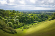 UK countryside landscape, Chiltern Hills, Buckinghamshire