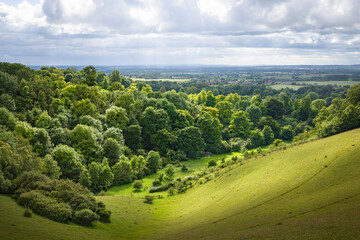 Canvas Print - UK countryside landscape, Chiltern Hills, Buckinghamshire