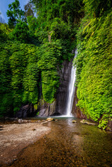 Wall Mural - Red Coral Waterfall