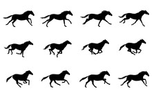 Galloping Horse Or Mustang. Horse Running Silhouette Cycle. Key Positions Of Pony Running Set. Loop Equine Gallop Motion. Isolated Vector Hand Drawn Animation Cartoon Poses. Equestrian Collection