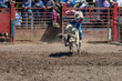 A rodeo cowboy is bringing to fall off a bucking bull. He is holding on with his left hand while his right is held near his face. He is wearing a tan hat and vest and a red shirt.