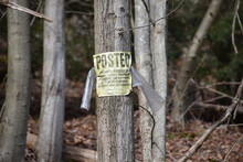Posted No Hunting Sign In The Forest