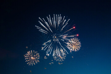 firework over the blue sky at night, white, orange, red. amateur photo. noise. grain.