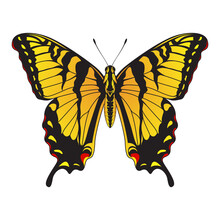 Tiger Swallowtail Butterfly - Yellow And Black Striped Butterfly Vector Illustration