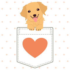 Wall Mural - The character of cute golden retriever dog in the pocket of the shirt in flat vector style. Illustration about cat for banner, greeting card, content, graphic.