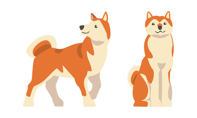 Sticker - Shiba Inu as Japanese Breed of Hunting Dog with Prick Ears and Curled Tail Sitting and Standing Vector Set