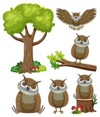 Poster - Wild animals set with nature elements