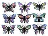 Fototapeta Motyle - Butterfly Watercolor Set