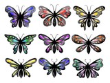Fototapeta Motyle - Butterfly Watercolor Set