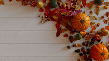 Fall Background.