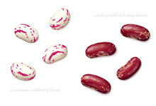 Several Red Speckled Kidney And Crimson Cranberry (roman Or Borlotti) Beans Isolated On White Background. Top View. Realistic Vector Illustration.
