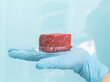 Lab grown meat concept - meat in petri dish