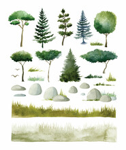 Watercolor Nature Elements, Coniferous And Deciduous Trees, Rocks And Grass