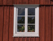 Window with flowers in an old red wooden house a sunny summer day in Stockholm, Sweden 2022-07-03