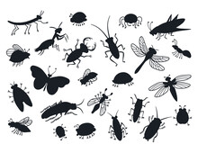 Big Set Of Cartoon Beetles Vector Silhouettes Collections