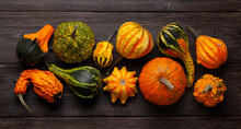 Various Colorful Squashes And Pumpkins