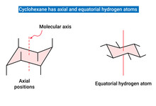 Cyclohexane Has Axial And Equatorial Hydrogen Atoms