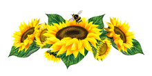 Watercolor Composition With Flowers, Sunflowers And Bumblebee.