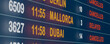 © Westlight - Cancelled flights to Dubai and delayed to Mallorca. Airport flight table. Close up screen with flight board. International airport, tourism and travel concept. 3D illustration