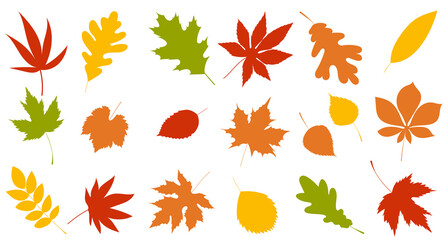 Wall Mural - collection leaves autumn set in flat design isolated , vector