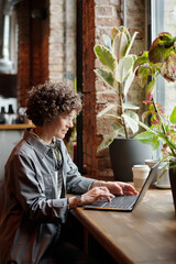 Poster - Middle aged businesswoman or freelancer with laptop sitting in front of window in cafe and looking at screen while working over new project