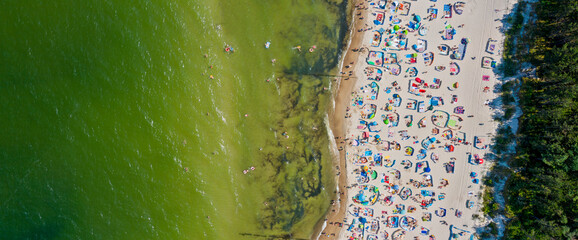 Fototapeta widok z góry na plażowiczów nad morzem bałtyckim
