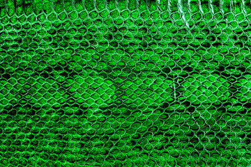 Canvas Print - Natural snake skin pattern background. Green snake pattern imitation.