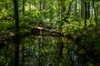 © HollandPhotostock.nl - Wendelbos