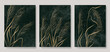 Luxury dark art background with grass in golden color. Botanical watercolor style poster set for wallpaper, textile, interior design, decor.