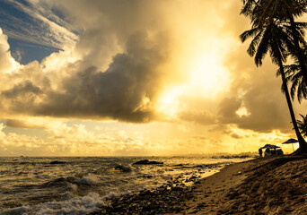 Wall Mural - sunset on the beach