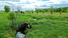 Green Grassy Field And Trees With Small Stream In Spring