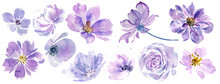 Very Peri Flowers Clip-art. Purple Flowers On A White Background. Hand-painted Abstract Botanical Illustrations Bundle.