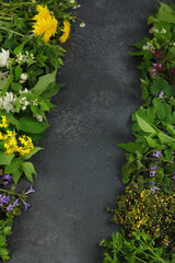 Canvas Print - Edible plants and flowers on a dark background.