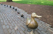 Mother Duck And Ducklings Statue In Boston Commons