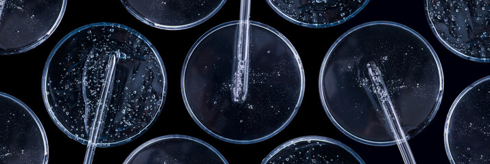 banner glass pipette serum gel closeup in petri dish on a dark background	