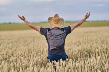 Wall Mural - Happy farmer in a wheat field