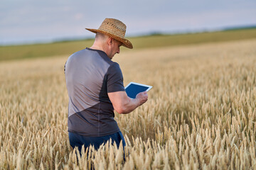 Wall Mural - Farmer with a tablet in a wheat field