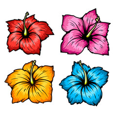 Wall Mural - Set of illustrations of hibiscus flower. Design elements for logo, label, sign, t shirt. Vector illustration