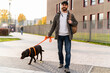 © NFstock - During the walk. Bearded male dog owner holding a leash of his Labrador dog while spending time together at the street. Man walking with his pet. Stock photo